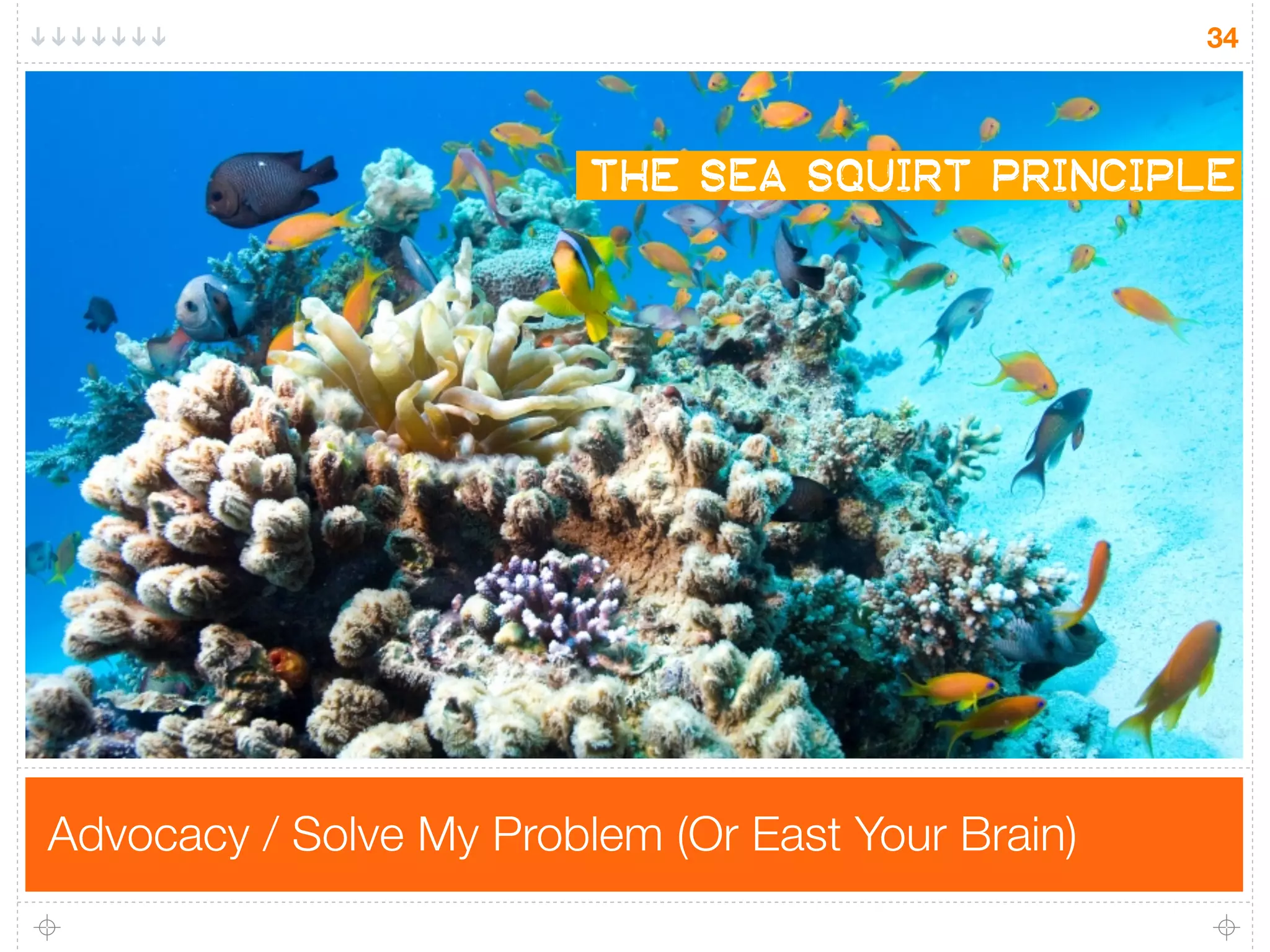34




                         the sea squirt principle




Advocacy / Solve My Problem (Or East Your Brain)
 