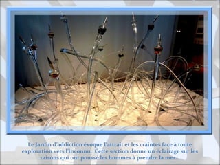 Le Jardin d’addiction évoque l’attrait et les craintes face à toute
exploration vers l’inconnu. Cette section donne un éclairage sur les
raisons qui ont poussé les hommes à prendre la mer…

 