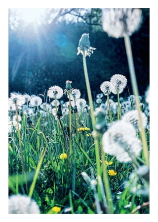 91
1
Scènes de printemps
À partir de mars 2013, un ensemble riche et varié de créations
contemporaines voient le jour, en danse, théâtre et musique.
Des créations portées notamment par de grands artistes résidant
sur le territoire de la Capitale comme Macha Makeïeff, Angelin
Preljocaj — autour de la thématique partagée des Mille et Une
Nuits — témoignent de la diversité des lieux de spectacle vivant
du territoire: théâtre du Gyptis, théâtre du Gymnase, théâtre
Toursky, etc. Tandis que la Comédie-Française vient pour
la première fois à Marseille avec un programme contemporain
exceptionnel mis en scène par Sulayman Al-Bassam.
> À partir de mars
For Ever
 