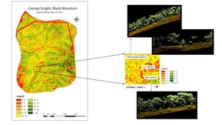 Marselis  2014   Vegetation Structure mapping  with LiDAR for forest fire research