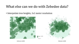 Marselis  2014   Vegetation Structure mapping  with LiDAR for forest fire research