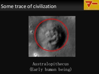Some trace of civilization
グレイ
Australopithecus
(Early human being)
 