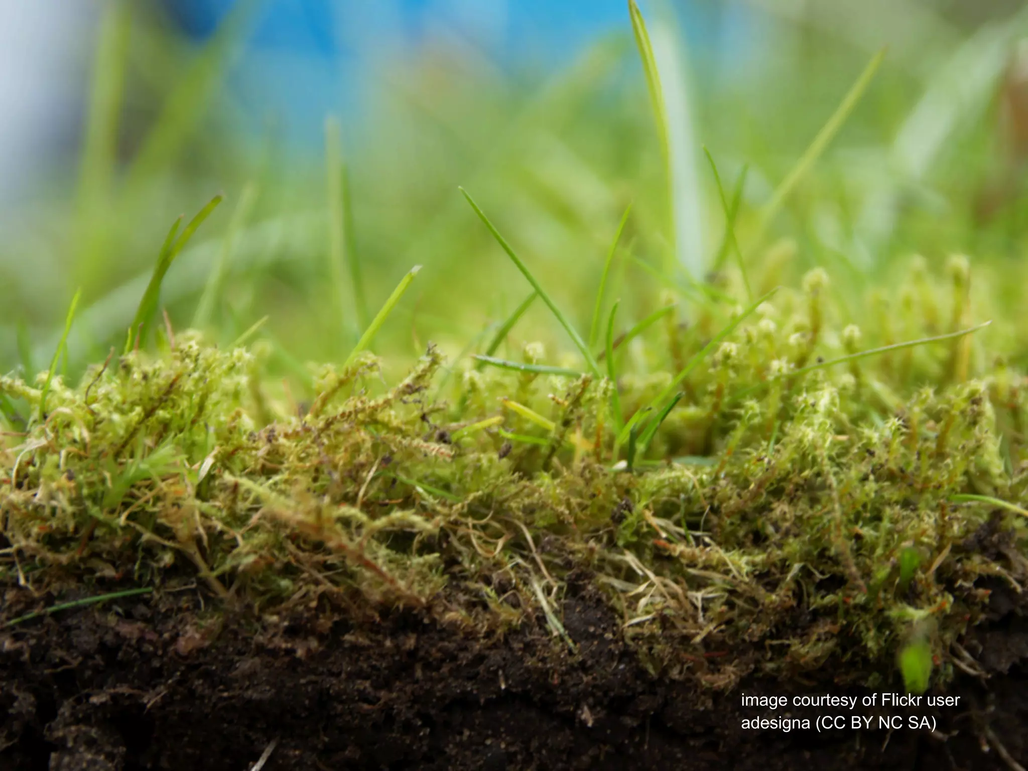 image courtesy of Flickr user
adesigna (CC BY NC SA)
 