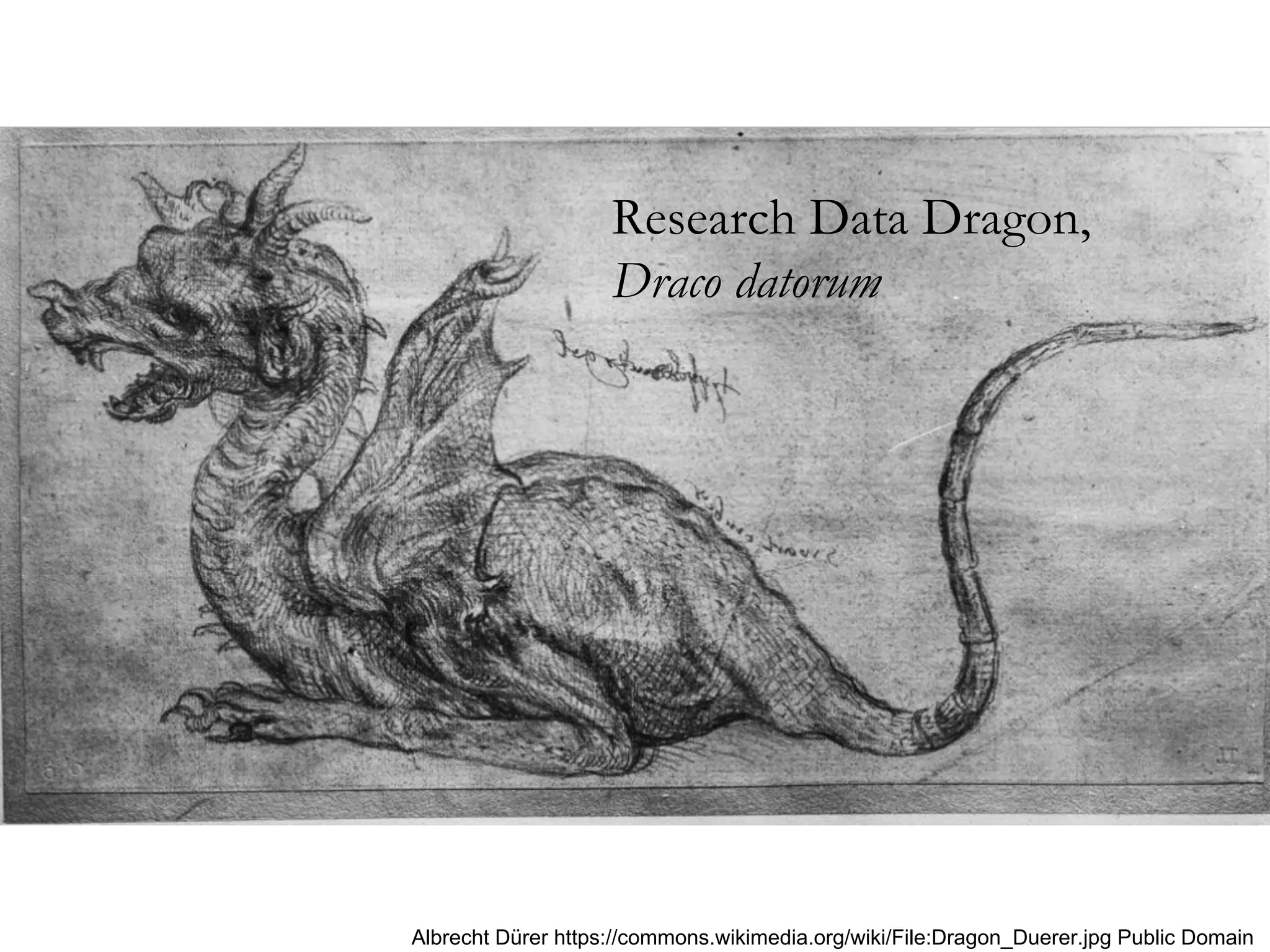 Research Data Dragon,
Draco datorum
Albrecht Dürer https://commons.wikimedia.org/wiki/File:Dragon_Duerer.jpg Public Domain
 