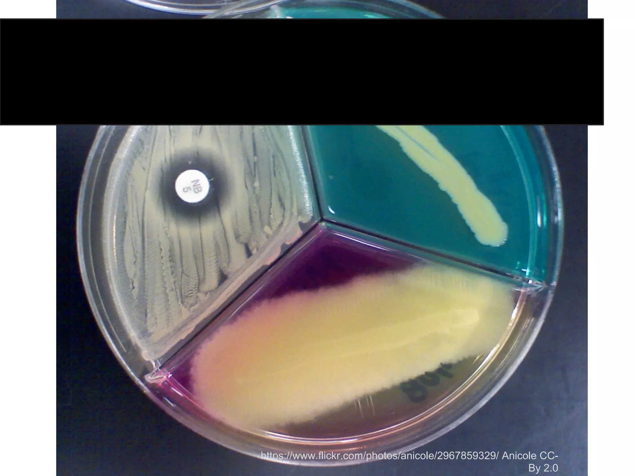 Communities of PracticeChallenges
 