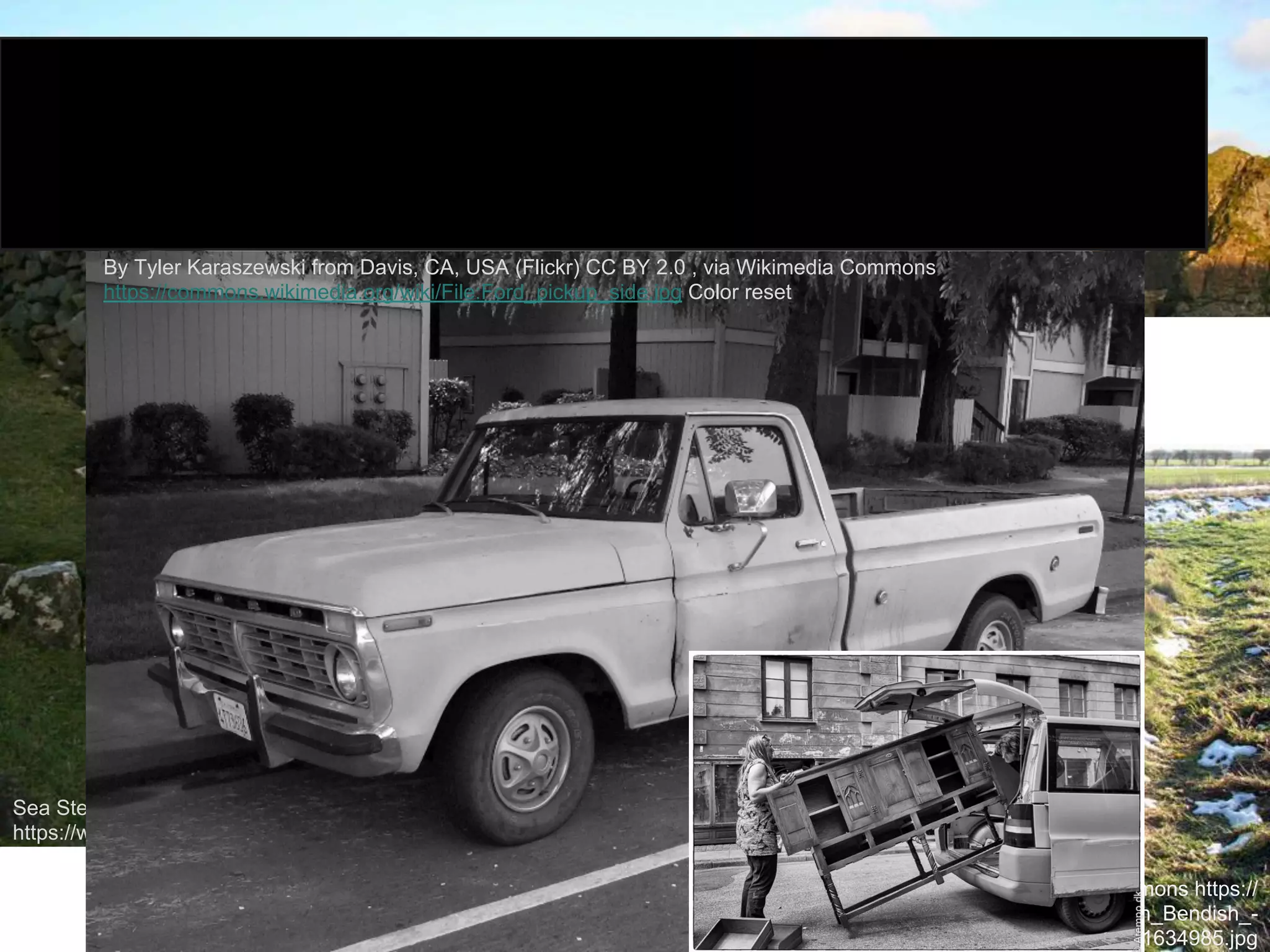 Research Data
Services =
core group
 