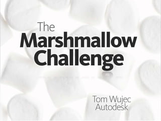Marshmallow challenge web
