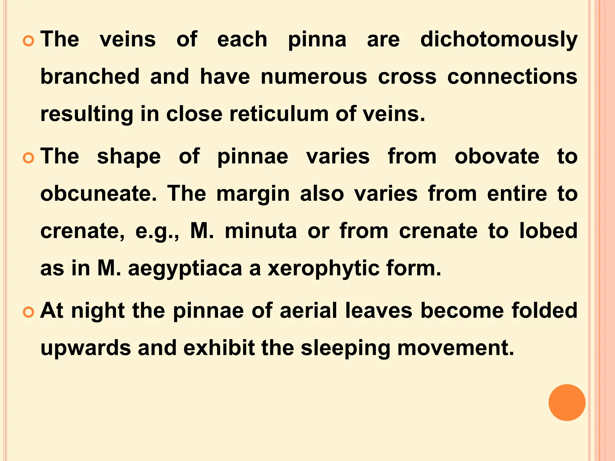 MARSILEA notes in detail for II year Botany.ppt