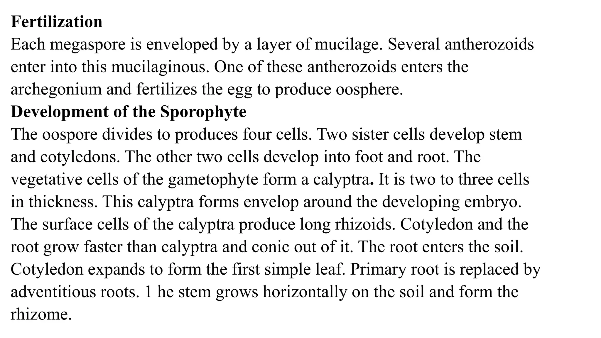 Marsilea structure and reproduction | PPTX