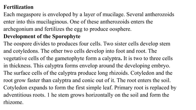 Marsilea structure and reproduction | PPTX