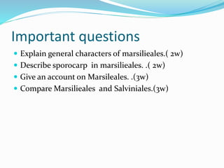 Important questions
 Explain general characters of marsilieales.( 2w)
 Describe sporocarp in marsilieales. .( 2w)
 Give an account on Marsileales. .(3w)
 Compare Marsilieales and Salviniales.(3w)
 