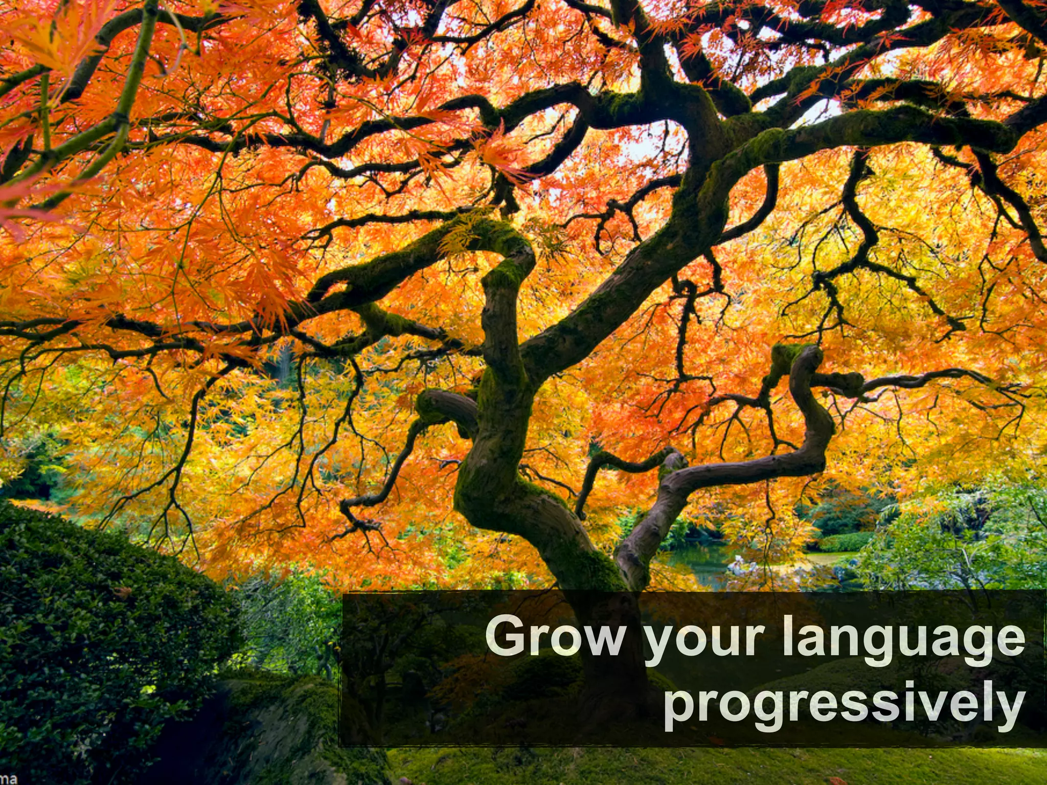 Grow your language
      progressively
 