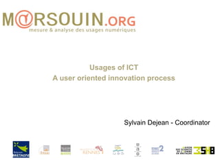 Usages of ICT A user oriented innovation process Sylvain Dejean - Coordinator 