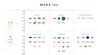 Mars Pitch Brief | PDF