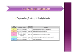    Esquematização de perfis de digitalização




                                                4
 