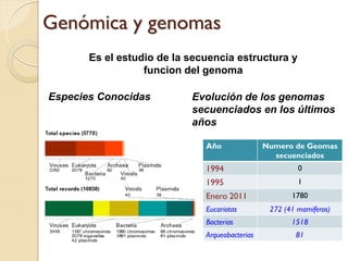 Genómica y genomas
       Es el estudio de la secuencia estructura y
                  funcion del genoma

Especies Conocidas         Evolución de los genomas
                           secuenciados en los últimos
                           años

                              Año               Numero de Geomas
                                                  secuenciados
                              1994                       0
                              1995                       1
                              Enero 2011               1780
                              Eucariotas         272 (41 mamiferos)
                              Bacterias                1518
                              Arqueobacterias           81
 
