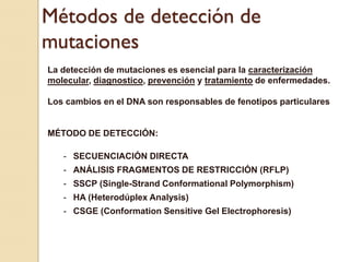 Métodos de detección de
mutaciones
La detección de mutaciones es esencial para la caracterización
molecular, diagnostico, prevención y tratamiento de enfermedades.

Los cambios en el DNA son responsables de fenotipos particulares


MÉTODO DE DETECCIÓN:

   - SECUENCIACIÓN DIRECTA
   - ANÁLISIS FRAGMENTOS DE RESTRICCIÓN (RFLP)
   - SSCP (Single-Strand Conformational Polymorphism)
   - HA (Heterodúplex Analysis)
   - CSGE (Conformation Sensitive Gel Electrophoresis)
 