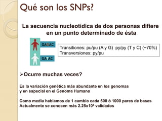 Qué son los SNPs?
 La secuencia nucleotídica de dos personas difiere
         en un punto determinado de ésta
          GAGAC
                   Transitiones: pu/pu (A y G) py/py (T y C) (~70%)
                   Transversiones: py/pu
          GATAC



Ocurre muchas veces?

Es la variación genética más abundante en los genomas
y en especial en el Genoma Humano

Como media hablamos de 1 cambio cada 500 ó 1000 pares de bases
Actualmente se conocen más 2.25x106 validados
 