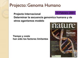 Projecto: Genoma Humano
 Projecto Internacional          15 Febrero 2001
 Determinar la secuencia genomica humana y de
 otros oganismos modelo




 Tiempo y coste
 han sido los factores limitantes
 