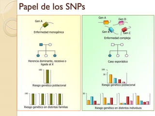 Papel de los SNPs
                                                 Gen A
                                                                 Gen D
            Gen A



           Enfermedad monogénica                    Gen B            Gen C
                                                     Enfermedad compleja




       Herencia dominante, recesiva o                    Caso esporádico
                 ligada al X
               100                                 100

                                                    30




          Riesgo genético poblacional              Riesgo genético poblacional


 100                                     30




 Riesgo genético en distintas familias        Riesgo genético en distintos individuos
 