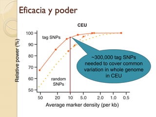 Eficacia y poder

                     tag SNPs
Relative power (%)




                                         ~300,000 tag SNPs
                                      needed to cover common
                                      variation in whole genome
                                                 in CEU
                        random
                         SNPs



                      Average marker density (per kb)
 