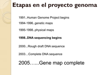 Etapas en el proyecto genoma
  1991..Human Genome Project begins
  1994-1996..genetic maps

  1995-1998..physical maps

  1998..DNA sequencing begins

  2000...Rough draft DNA sequence

  2003…Complete DNA sequence


  2005…...Gene map complete
 