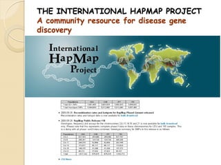 THE INTERNATIONAL HAPMAP PROJECT
A community resource for disease gene
discovery
 