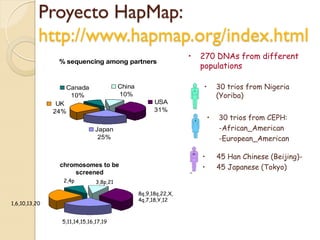 Proyecto HapMap:
           http://www.hapmap.org/index.html
                                                                  •   270 DNAs from different
                % sequencing among partners
                                                                      populations

                  Canada                 China                        •       30 trios from Nigeria
                   10%                   10%                                  (Yoriba)
                UK                                     USA
               24%                                     31%
                                                                          •   30 trios from CEPH:
                               Japan                                          -African_American
                                25%                                           -European_American

                                                                      •       45 Han Chinese (Beijing)-
                chromosomes to be                                     •       45 Japanese (Tokyo)
                    screened
                 2,4p          3,8p,21

                                                 8q,9,18q,22,X,
                                                 4q,7,18,Y,12
1,6,10,13,20


                 5,11,14,15,16,17,19
 
