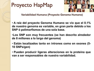 Proyecto HapMap
      Variabilidad Humana (Proyecto Genoma Humano)


• A raíz del proyecto Genoma Humano se vio que el 0.1%
de nuestro genoma es variable, en gran parte debido a los
SNP ó polimorfismos de una sola base.
•Los SNP son muy frecuentes (se han descrito alrededor
de 8 millones a lo largo del genoma)
• Están localizados tanto en intrones como en exones (5-
10 SNPs/gen)
• Pueden producir ligeras alteraciones en la proteína que
van a ser responsables de nuestra variabilidad.
 