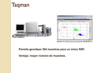 Taqman




  Permite genotipar 384 muestras para un único SNP.

  Ventaja: mayor número de muestras.
 
