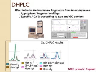 DHPLC
   Discriminates Heteroduplex fragments from homoduplexes
      . Appropiated fragment melting t
      . Specific ACN % according to size and GC content




                          2a. DHPLC results




          Het A            Het B (1st postion)
Hom atg
          (2nd,3rd pos)    Hom tgt
Hom tgt
          Hom tgt          Hom atg               NME1 promotor fragment
 