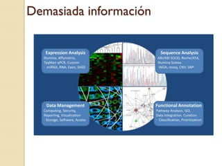 Demasiada información
 