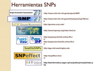 Herramientas SNPs
            http://www.ncbi.nlm.nih.gov/projects/SNP/


            http://www.ncbi.nlm.nih.gov/entrez/query.fcgi?db=sn
            p
            http://genome.ucsc.edu/


            http://www.hapmap.org/index.html.en


            http://pupasnp.bioinfo.ochoa.fib.e
            s/
            http://pupasview.bioinfo.ochoa.fib.e
            s/

            http://pga.mbt.washington.edu



            http://snpeffect.vib.b
            e/

            http://bioinformatica.cegen.upf.es/public/principal/index.p
            hp
 