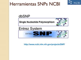 Herramientas SNPs NCBI

   dbSNP


   Entrez System



      http://www.ncbi.nlm.nih.gov/projects/SNP/




                                         http://www.ncbi.nlm.nih.gov
 