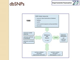 dbSNPs


         1998




                http://www.ncbi.nlm.nih.gov/projects/SNP/
 
