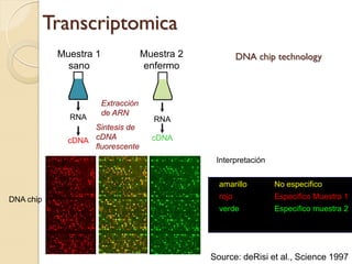 Transcriptomica
            Muestra 1                Muestra 2            DNA chip technology
              sano                   enfermo


                        Extracción
                        de ARN
              RNA                      RNA
                   Sintesis de
              cDNA cDNA                cDNA
                   fluorescente
                                                  Interpretación


                                                   amarillo        No especifico
DNA chip                                           rojo            Especifico Muestra 1
                                                   verde           Especifico muestra 2




                                                 Source: deRisi et al., Science 1997
 