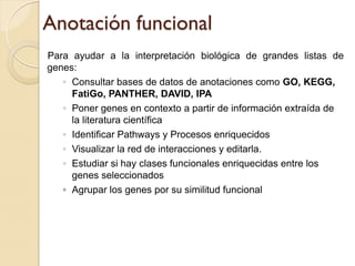 Anotación funcional
Para ayudar a la interpretación biológica de grandes listas de
genes:
   ◦ Consultar bases de datos de anotaciones como GO, KEGG,
     FatiGo, PANTHER, DAVID, IPA
   ◦ Poner genes en contexto a partir de información extraída de
     la literatura científica
   ◦ Identificar Pathways y Procesos enriquecidos
   ◦ Visualizar la red de interacciones y editarla.
   ◦ Estudiar si hay clases funcionales enriquecidas entre los
     genes seleccionados
   ◦ Agrupar los genes por su similitud funcional
 