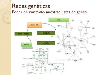 Redes genéticas
Poner en contexto nuestras listas de genes



   PANTHER      FATIGO



                 DAVID
 