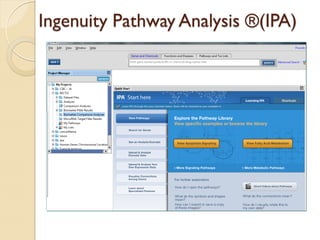 Ingenuity Pathway Analysis ®(IPA)
 