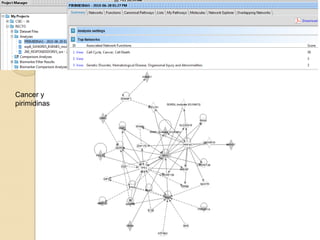Cancer y
pirimidinas
 