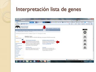 Interpretación lista de genes
 