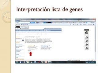 Interpretación lista de genes
 
