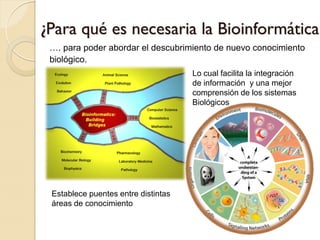 ¿Para qué es necesaria la Bioinformática?
 …. para poder abordar el descubrimiento de nuevo conocimiento
 biológico.
                                     Lo cual facilita la integración
                                     de información y una mejor
                                     comprensión de los sistemas
                                     Biológicos




 Establece puentes entre distintas
 áreas de conocimiento
 