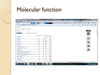 Molecular function
 