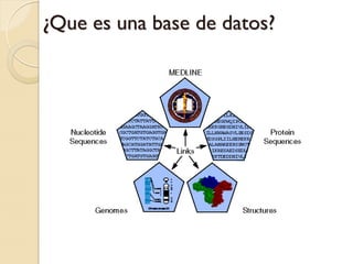 ¿Que es una base de datos?

 Es una colección de datos que tiene que ser:
    ◦ estructurada
    ◦ buscable
    ◦ actualizaciones regulares
    ◦ links y referencias a otras colecciones de datos
 