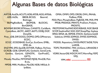 Algunas Bases de datos Biológicas
AATDB, AceDb, ACUTS, ADB, AFDB, AGIS, AMSdb,     OMIA, OMIM, OPD, ORDB, OWL, PAHdb,
   ARR, AsDb,     BBDB, BCGD,     Beanref,                     PatBase, PDB,
                   Biolmage,                 PDD, Pfam, PhosphoBase, PigBASE, PIR, PKR, PMD
   BioMagResBank,      BIOMDB, BLOCKS,          PPDB, PRESAGE, PRINTS, ProDom, Prolysis,
                  BovGBASE,                                      PROSITE,
BOVMAP, BSORF, BTKbase, CANSITE, CarbBank, PROTOMAP, RatMAP, RDP, REBASE, RGP, SBASE
 CyanoBase, dbCFC, dbEST, dbSTS, DDBJ, DGP, SCOP, SeqAnaiRef, SGD, SGP, SheepMap, Soybase
                   DictyDb,                   SPAD, SRNA db, SRPDB, STACK, StyGene,Sub2D
Picty_cDB, DIP, DOGS, DOMO, DPD, DPlnteract,    SubtiList, SWISS-2DPAGE, SWISS-3DIMAGE,
                     ECDC,                                        SWISS-
 ECGC, EC02DBASE, EcoCyc, EcoGene, EMBL,       MODEL Repository, SWISS-PROT, TelDB, TGN,
                   EMD db,                                        tmRDB,
ENZYME, EPD, EpoDB, ESTHER, FlyBase, FlyView, TOPS, TRANSFAC, TRR, UniGene, URNADB, V
GCRDB, GDB, GENATLAS, Genbank, GeneCards,                          BASE,
 Genline, GenLink, GENOTK, GenProtEC, VDRR,VectorDB, WDCM, WIT, WormPep,YEPD
                     GIFTS,                                        YPD,
Micado, MitoDat, MITOMAP, MJDB, MmtDB, Mol-            YPM, etc .................. !!!!
                      R-Us,
 MPDB, MRR, MutBase, MycDB, NDB, NRSub, 0-
                    lycBase,
 