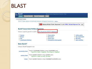 BLAST
 