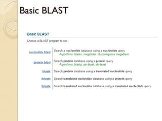 Basic BLAST
 