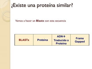 ¿Existe una proteína similar?

  Vamos a hacer un Blastx con esta secuencia




                                    ADN
                                               Frame
    BLASTx          Proteina     Traducido a   Gapped
                                   Proteina
 