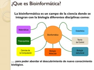 ¿Que es Bioinformática?
  La bioinformática es un campo de la ciencia donde se
   integran con la biología diferentes disciplinas como:


     Matemáticas
                                                                     Estadística
                           Bioinformática

                                                                      Teoría
     Físca-química
                                                                     de Control


        Ciencias de          Biología                                 Biología
      la Computación         Molecular                               estructural



…. para poder abordar el descubrimiento de nuevo conocimiento
biológico.
                                     Source: http://ccb.wustl.edu/
 